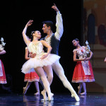 Teatro Brancaccio 2019